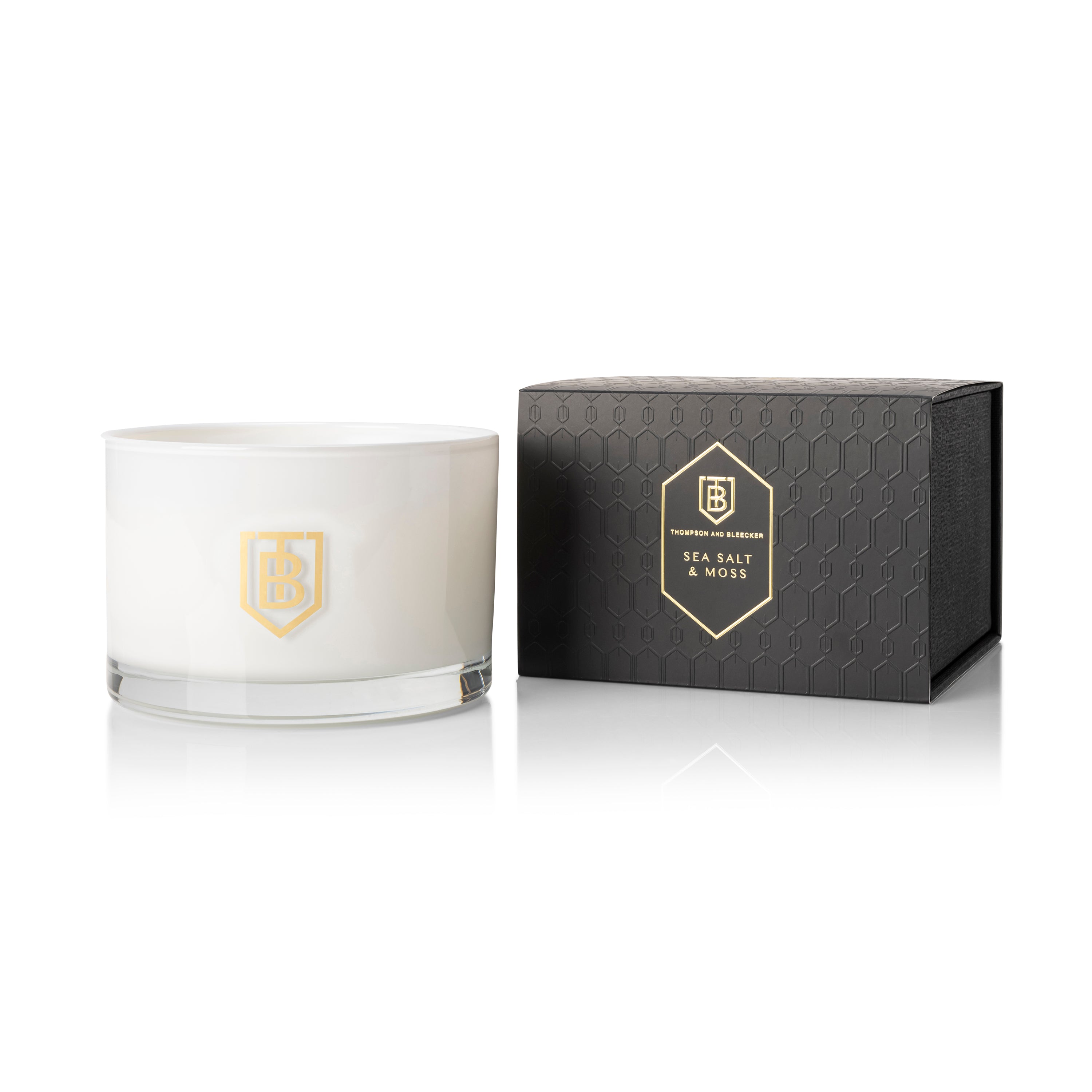 Sea Salt & Moss 4-Wick Candle
