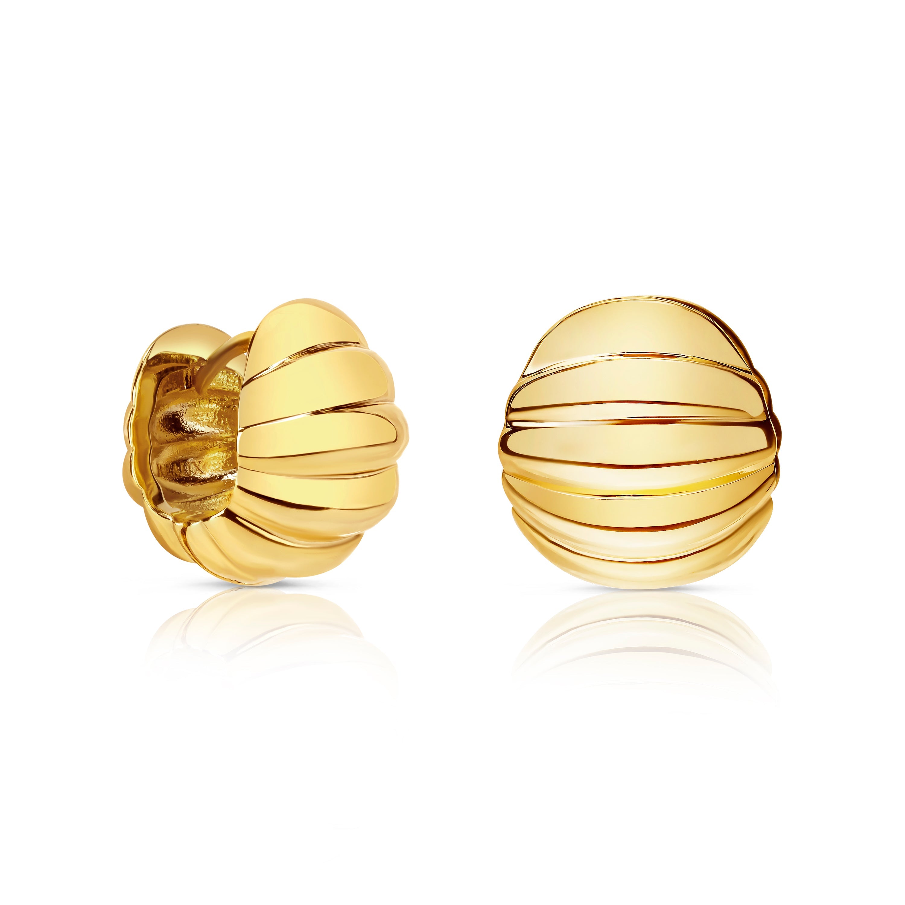 Bree Hoop Earrings E318